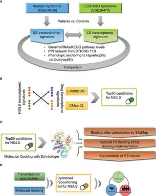 Drug Repositioning for Noonan and LEOPARD Syndromes by Integrating Transcriptomics With a Structure-Based Approach